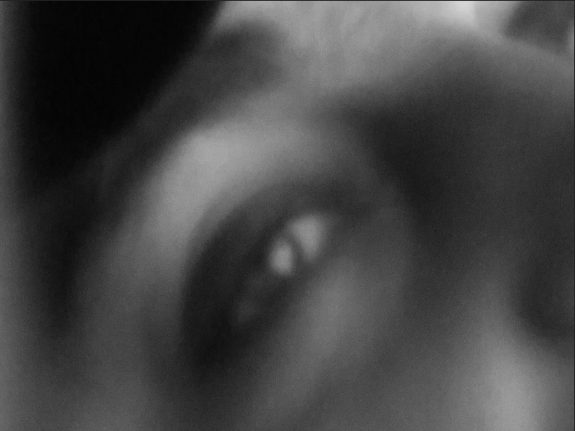 SHADOWLESS IN TRANSIT | 2023