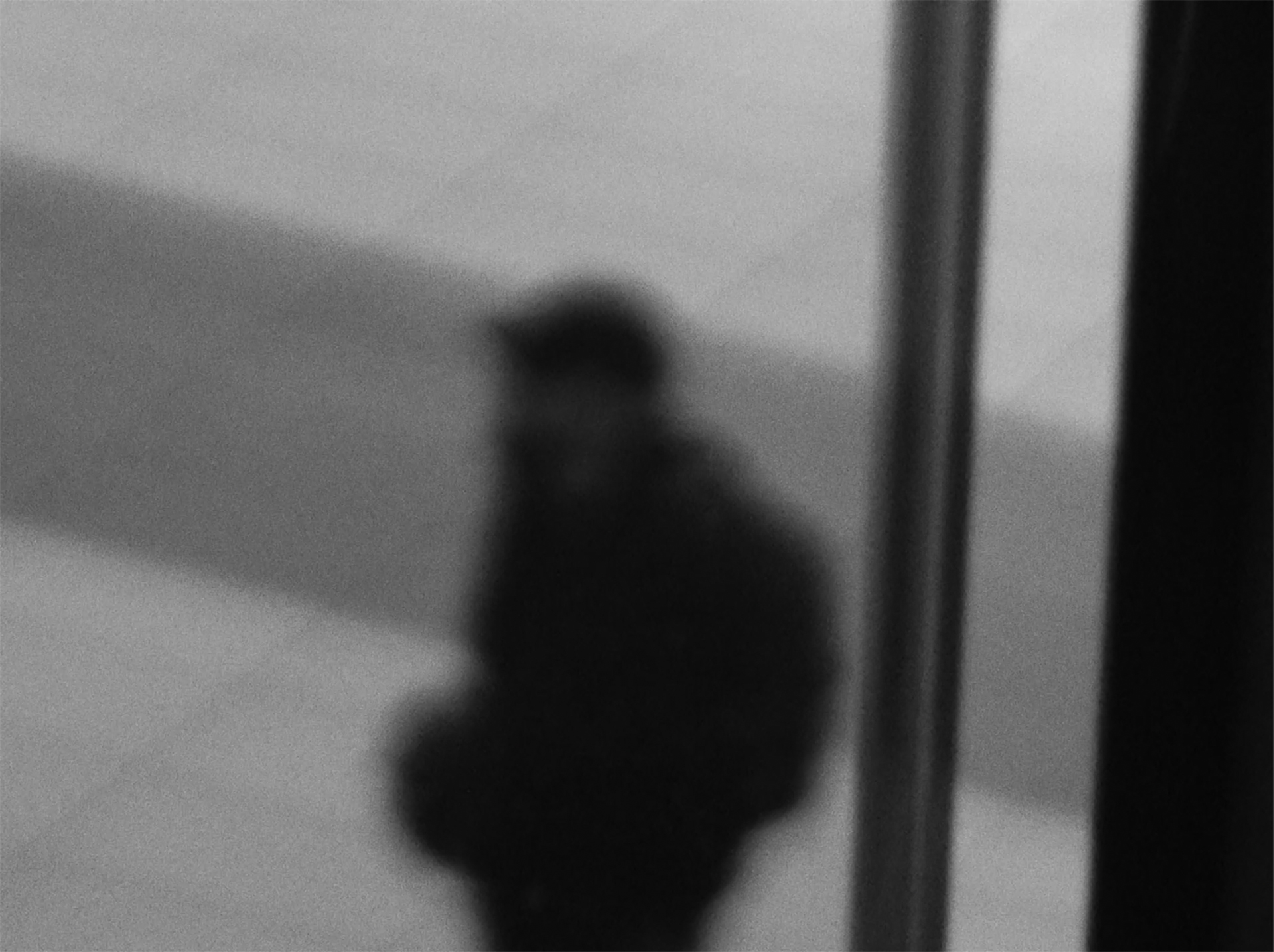 SHADOWLESS IN TRANSIT | 2023